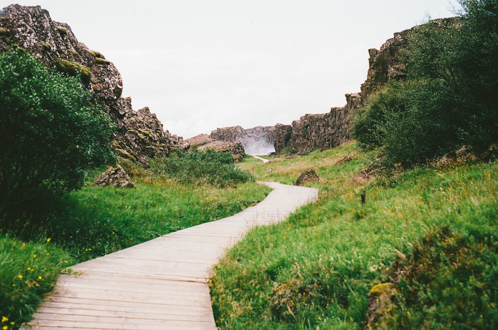 Wooden pathway through lush landscape and rocky gorge on a clear day.
